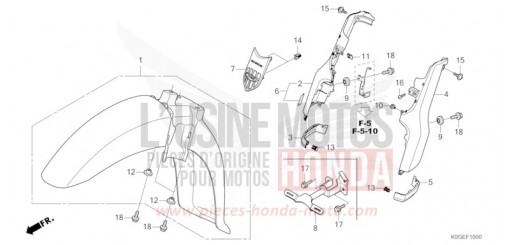 FRONT FENDER C125AN de 2022